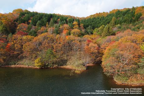 川汲町（紅葉）